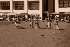 LINE_ALBUM_けやきの森_241013_29