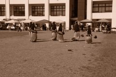 LINE_ALBUM_けやきの森_241013_30