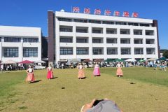 LINE_ALBUM_上山けやきの森のおまつり_241013_112