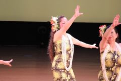 LINE_ALBUM_七日町音楽祭2024_241109_60