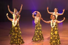 LINE_ALBUM_2025サークルフェスタ_250208_16