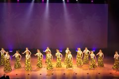 LINE_ALBUM_2025サークルフェスタ_250208_28