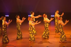 LINE_ALBUM_2025サークルフェスタ_250208_30