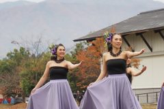 LINE_ALBUM_ワンニャンフェス2025_251111_47