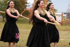 LINE_ALBUM_2025ワンニャン_251111_13