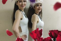 line_211108238193308